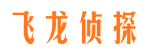 马村婚外情取证